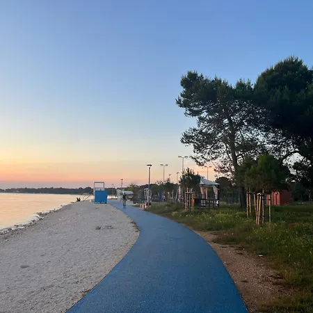 Viola Istra 4*
