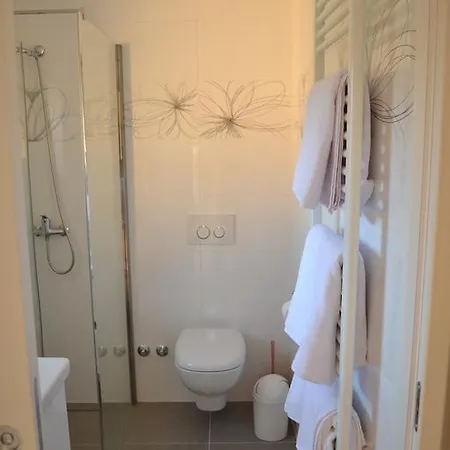 Pensjonat Viola Istra