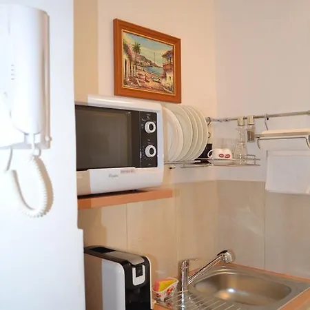 Πανσιόν Viola Istra