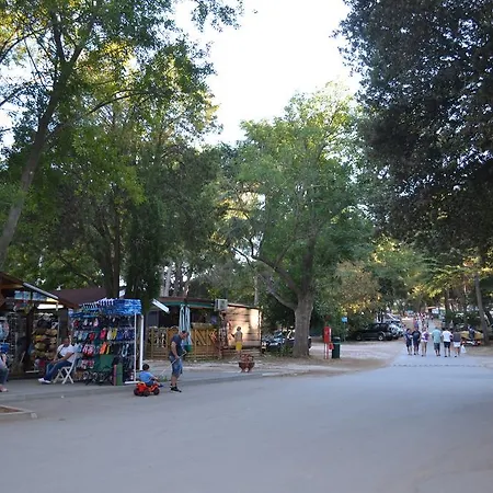 Πανσιόν Viola Istra 4*