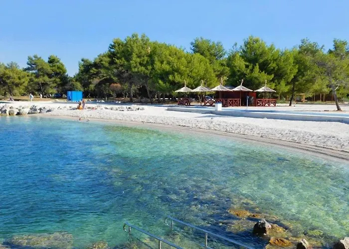 Viola Istra 4*