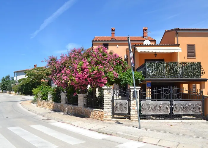 Viola Istra Konukevi 4*