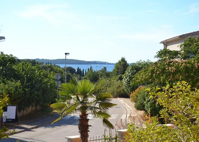 Viola Istra 4*