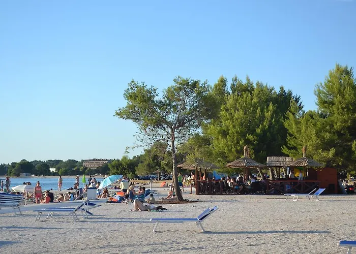 Viola Istra Konukevi 4*