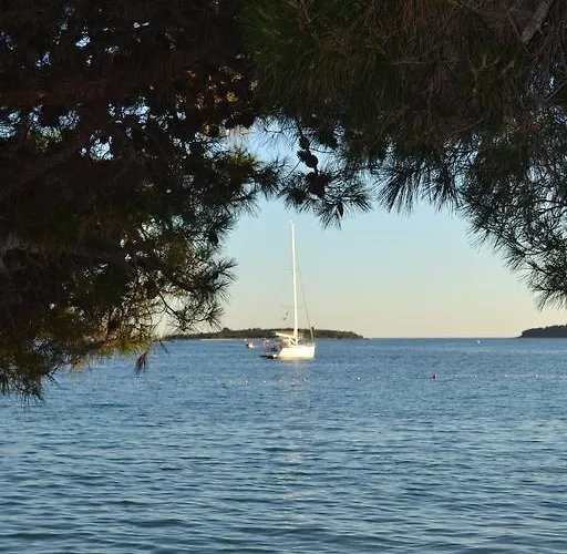 Viola Istra Konukevi