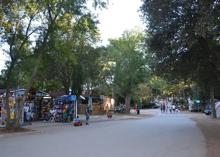 Konukevi Viola Istra 4*
