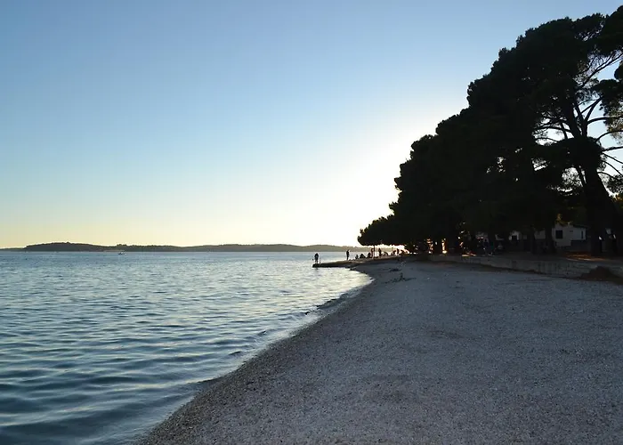 Viola Istra Konukevi 4*