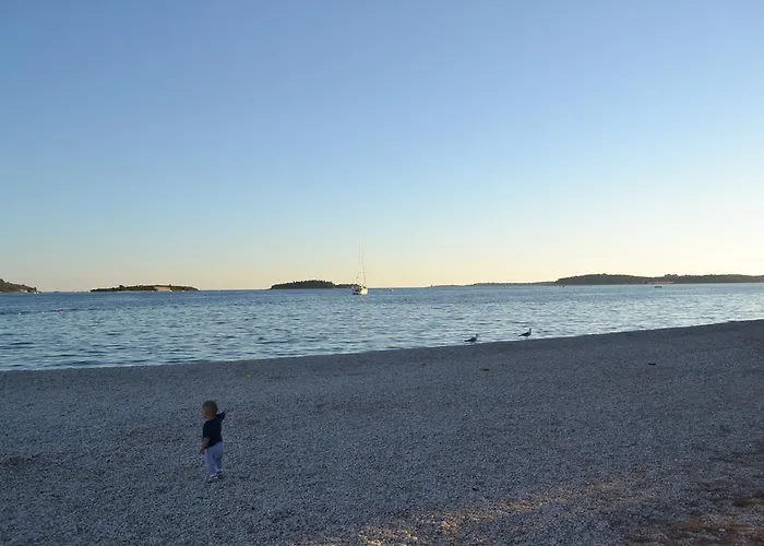 Viola Istra Konukevi 4*
