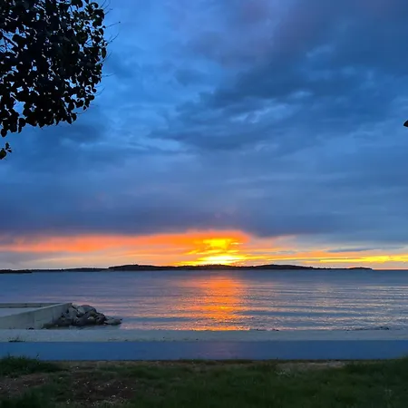 Viola Istra 4* Штиньян