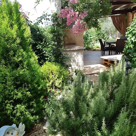 Guest house Viola Istra Stinjan