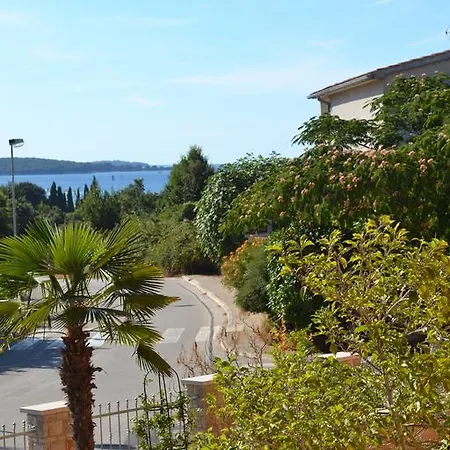 Гостевой дом Viola Istra