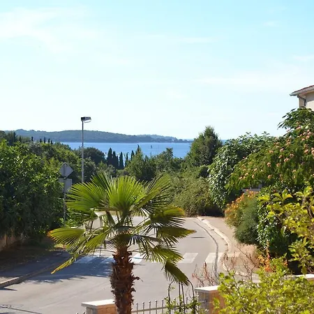 Viola Istra 4*