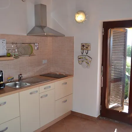 Viola Istra Штиньян