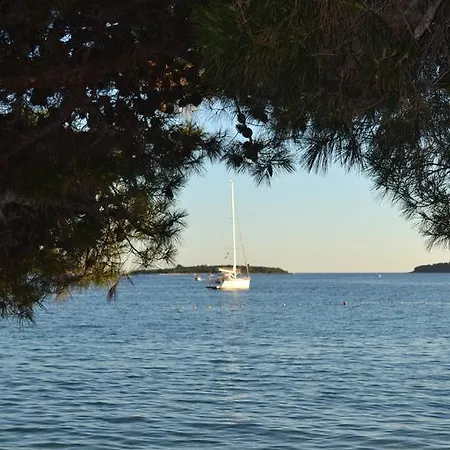 Viola Istra Гостевой дом