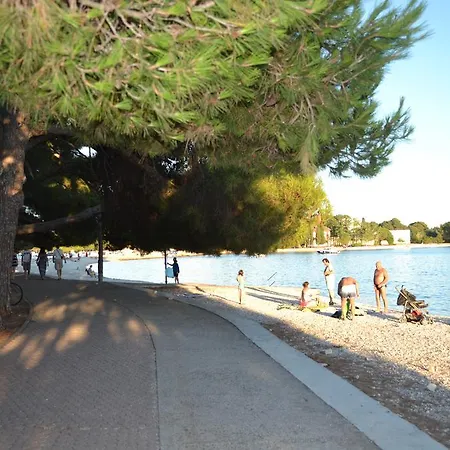 Viola Istra Гостевой дом