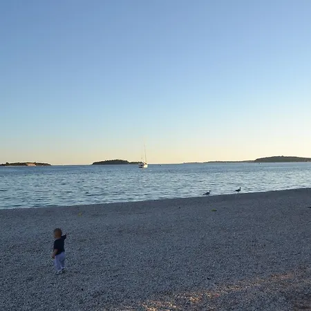 Viola Istra Гостевой дом 4*